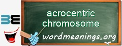 WordMeaning blackboard for acrocentric chromosome